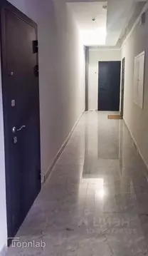 Студия Ленинградская область, Сертолово Всеволожский район, ...