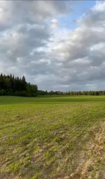 Участок в Московская область, Можайский муниципальный округ, д. Новый ...
