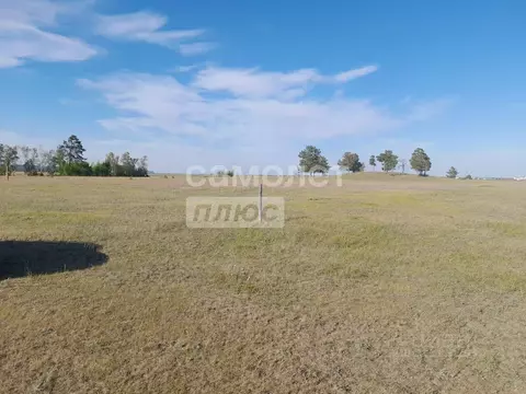 Участок в Саха (Якутия), Якутск городской округ, с. Тулагино ул. ...