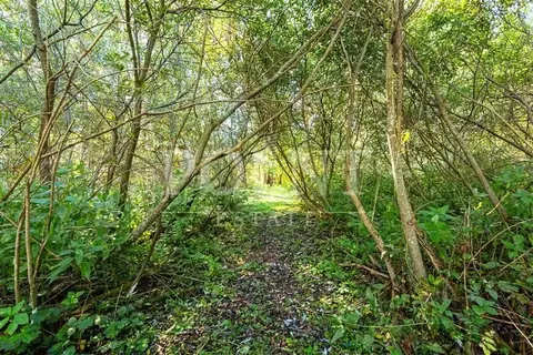Участок в Московская область, Одинцовский городской округ, д. Дарьино  ...