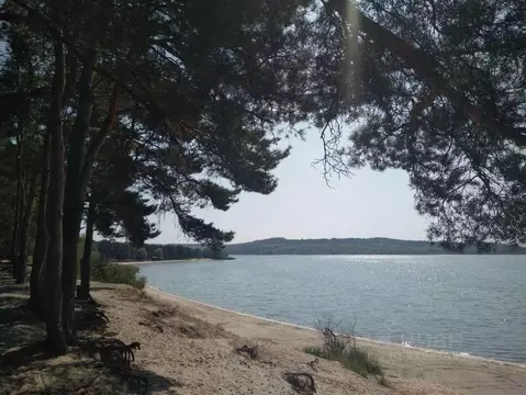 2-к кв. Белгородская область, Шебекинский муниципальный округ, Маслова ...