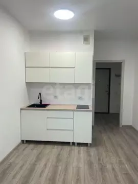 Студия Ленинградская область, Мурино Всеволожский район, бул. ...