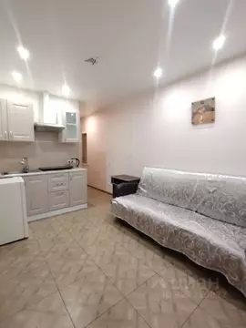 Студия Московская область, Ленинский городской округ, Лопатино пгт ул. ...