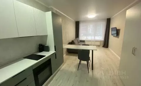 Студия Башкортостан, Уфа ул. Рудольфа Нуреева, 7 (27.0 м)