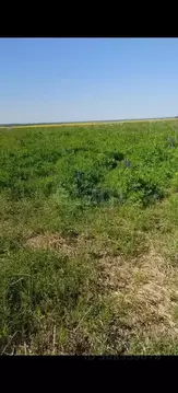 Участок в Брянская область, Брянский район, Отрадненское с/пос, с. ...