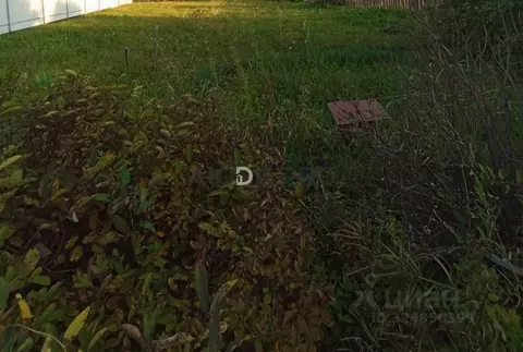 Участок в Алтайский край, Павловский район, с. Черемное  (10.0 сот.)