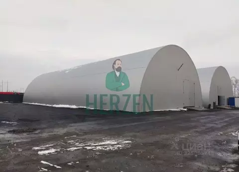 Производственное помещение в Московская область, Домодедово городской ...