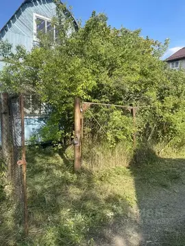 Дом в Московская область, Ногинск Богородский городской округ, Ромашка ...