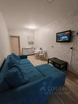 Студия Красноярский край, Красноярск Караульная ул., 39Б (30.0 м)