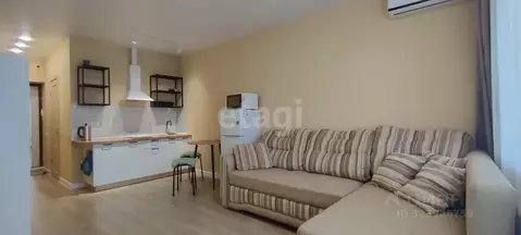 Студия Хабаровский край, Хабаровск ул. Алексеевская, 64 (25.5 м)