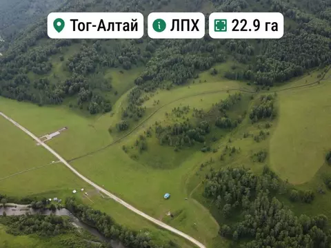 Участок в Алтайский край, Солонешенский район, пос. Тог-Алтай  (2290.0 ...