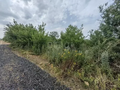 Участок в Ростовская область, Родионово-Несветайский район, ...