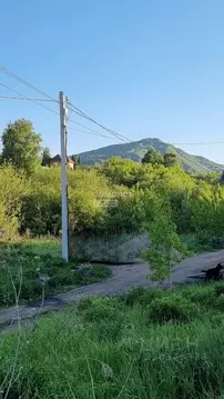 Участок в Алтайский край, Белокуриха ул. Декабристов, 24 (9.52 сот.)