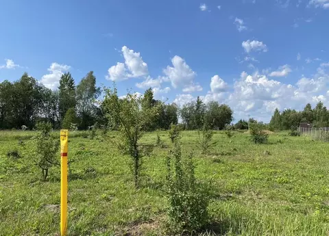 Участок в Тульская область, Заокский рп ул. Весенняя, 11 (15.0 сот.)
