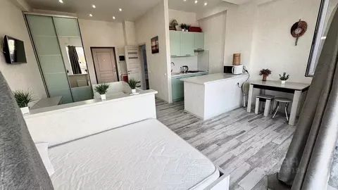 Студия Краснодарский край, Сочи Мамайка мкр, ул. Крымская, 89 (33.1 м)