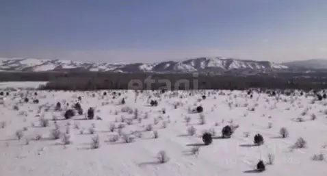 Участок в Алтайский край, Алтайский район, Айский сельсовет, ...