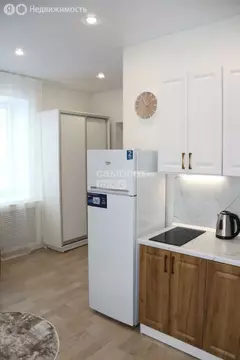 Квартира-студия: Екатеринбург, улица Гагарина, 61А (20.8 м)