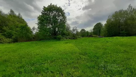 Участок в Ленинградская область, Волосовский район, Большеврудское ...