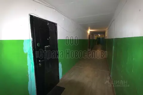 Комната Мордовия, Саранск просп. 70 лет Октября, 167к1 (18.0 м)