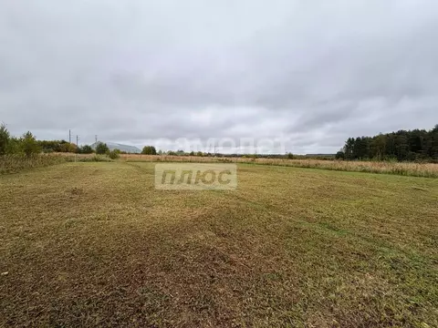 Участок в Владимирская область, Александровский муниципальный округ, ...