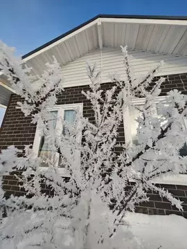 Дом в Тюменская область, Тобольск ул. Тенистая, 18А (40 м)