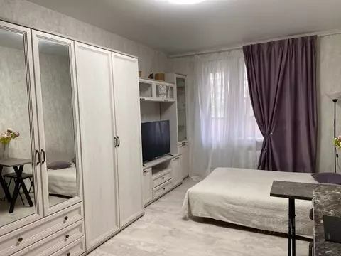 Студия Санкт-Петербург ул. Плесецкая, 10 (24.0 м)