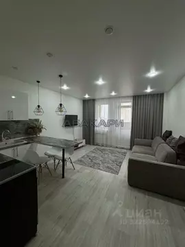 Студия Красноярский край, Красноярск Дудинская ул., 2В (31.0 м)