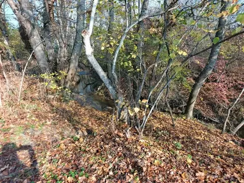 Участок в Краснодарский край, Северское с/пос, Бончковский хут. ул. ...