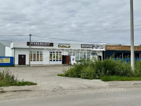 Участок в Тюменская область, Тюменский муниципальный округ, Маяк СНТ ...