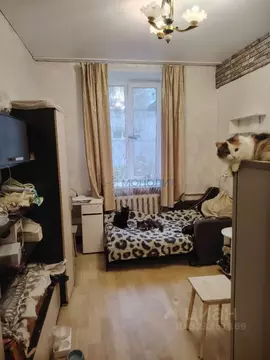 Комната Нижегородская область, Нижний Новгород Анкудиновское ш., 13 ...