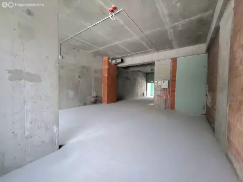 Помещение свободного назначения (81 м)