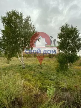 Участок в Оренбургская область, Гай ул. Ленина (10.5 сот.)