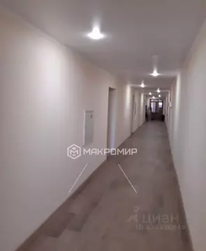 Офис в Орловская область, Орел ул. Лескова, 19 (103 м)