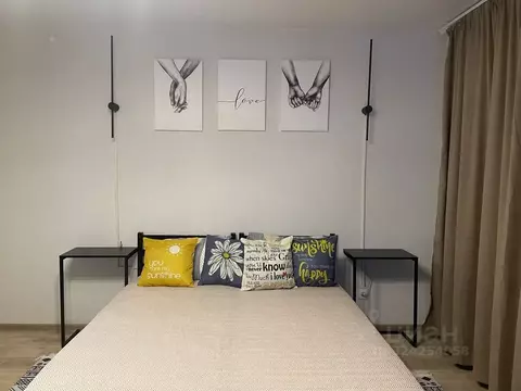 Студия Курганская область, Шадринск ул. Василия Черемисина, 5 (26.0 м)