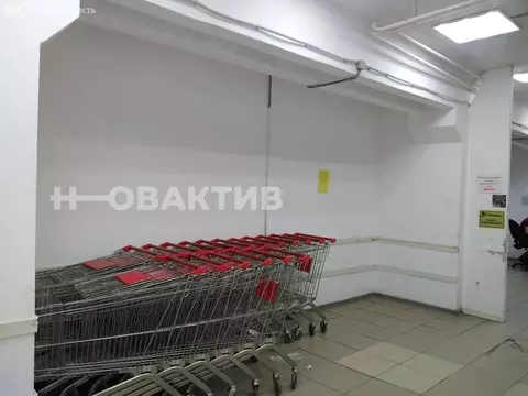 Помещение свободного назначения (20 м)