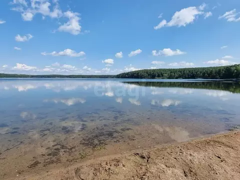 Дом в Челябинская область, Чебаркуль Еловская ул., 1 (58 м)