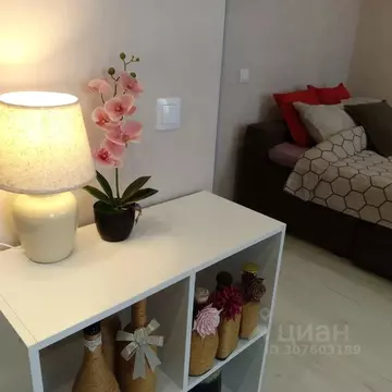 Студия Ленинградская область, Гатчина ул. Чехова, 43 (26.0 м)