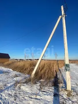 Участок в Тюменская область, Тюмень Садовое товарищество Липовый ...
