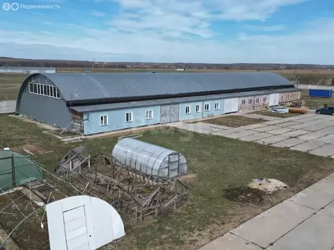 Производственное помещение (610 м)