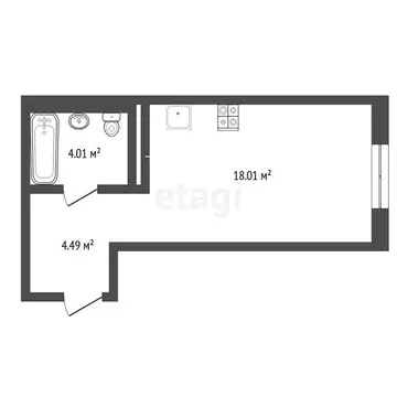 Квартира-студия: село Горьковка, Светлая улица, 10к1 (26.7 м)