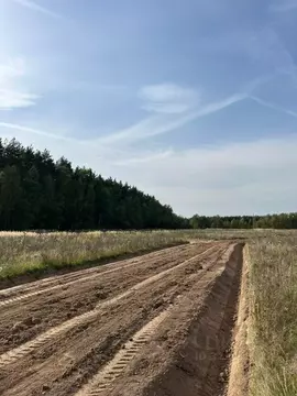 Участок в Московская область, Раменский муниципальный округ, Опушкино ...