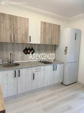 1-комнатная квартира: Бугры, Тихая улица, 13к3 (29.9 м)