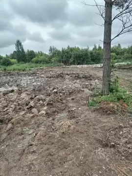 Участок в Тюменская область, Нижнетавдинский муниципальный округ, ...