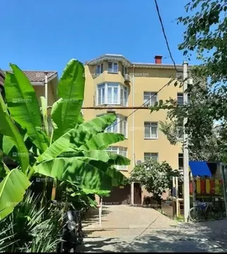 Студия Краснодарский край, Сочи Виноградная ул., 135/13 (28.0 м)