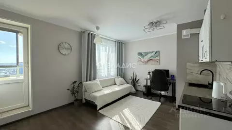 Студия Санкт-Петербург пос. Парголово, проезд Толубеевский, 26к1 (23.9 ...