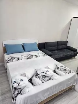 1-к кв. Пермский край, Пермь ул. Куйбышева, 135 (21.0 м)