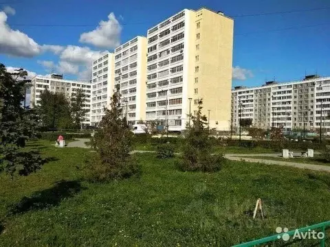 1-к кв. Пермский край, Пермь ул. Строителей, 10 (35.0 м)