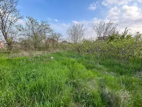 Участок в Краснодарский край, Анапа муниципальный округ, Заря хут. ул. ...