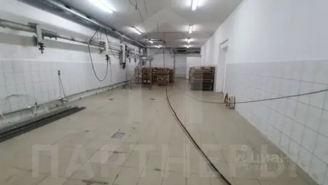 Помещение свободного назначения в Краснодарский край, Краснодар пос. ...