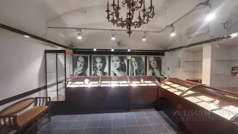 Торговая площадь в Владимирская область, Владимир ул. Гагарина, 2 (100 ...